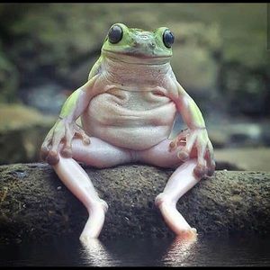 Just some of my favorite screenshots for fun!!!